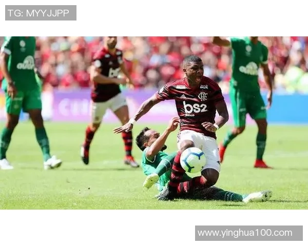 2018年巴伊亚与帕尔梅拉斯激战回顾精彩瞬间与赛季影响分析